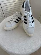 Adidas béyonce adistar 41, Ophalen of Verzenden, Zo goed als nieuw, Sneakers of Gympen
