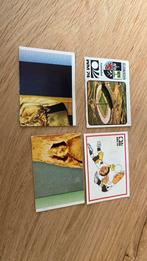 4 x panini wk 74, Verzamelen, Ophalen of Verzenden, Zo goed als nieuw, Buitenlandse clubs, Poster, Plaatje of Sticker