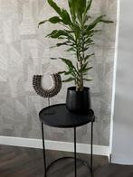 Mooie zwarte bijzettafel Notre Monde!, Huis en Inrichting, Tafels | Bijzettafels, Minder dan 55 cm, Metaal of Aluminium, Rond