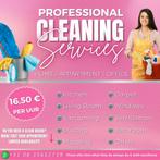 Professional Cleaning Services, Overige vormen