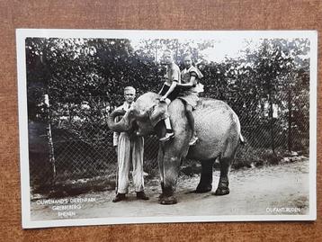 oude kaart Rhenen Ouwehands dierenpark, Olifant rijden, 1941 beschikbaar voor biedingen