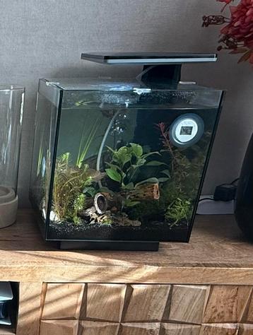 Superfish Qubic 30 Pro Aquarium  beschikbaar voor biedingen