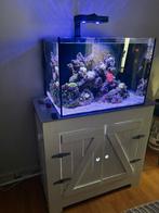 volglas zeeaquarium leeg met techniek en kast, Ophalen, Gebruikt, Leeg aquarium