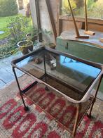 Gietijzer, metalen butlertray met glazen platen, oud, antiek, Huis en Inrichting, Tafels | Sidetables, Ophalen, Overige materialen