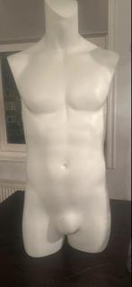 Mannelijke torso paspop, Ophalen of Verzenden