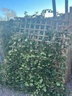 Hekwerk, hardhout zelf in elkaar zetten, Tuin en Terras, Schuttingen, Ophalen of Verzenden, Zo goed als nieuw, Minder dan 3 meter