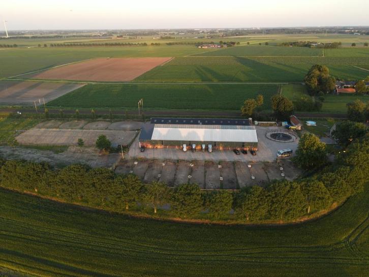 Vol- Pensionstalling in Hoeven (N-B) incl privelessen, Dieren en Toebehoren, Stalling en Weidegang, Stalling, Weidegang, Toebehoren