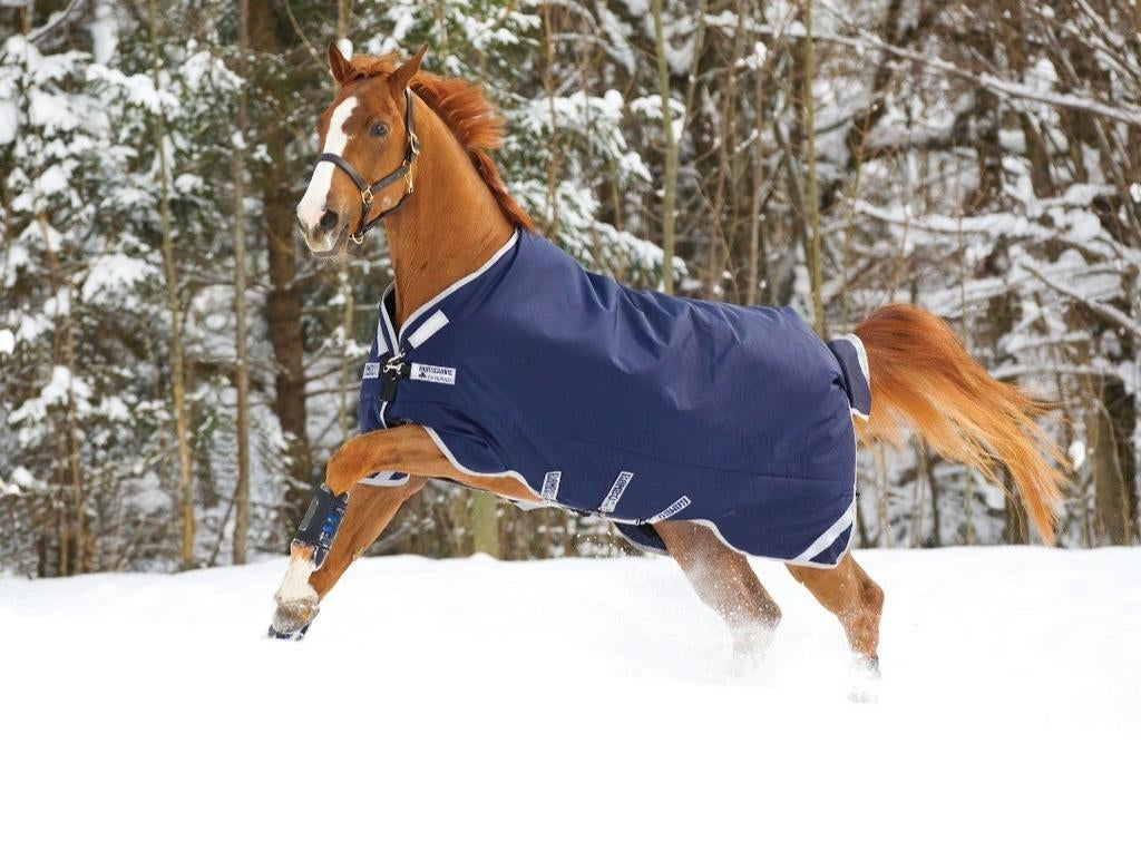 Nieuw Rambo Original Turnout Outdoordeken, Medium 5'6, Ophalen of Verzenden, Nieuw, Deken