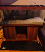 Juwel Rio 450 liter, Ophalen, Gebruikt, Leeg aquarium