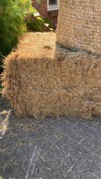 Duits weidehooi balen van 600 kg per stuk, Ophalen of Verzenden, Vee