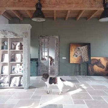 BOURGONDISCHE DALLEN CASTILE CHATEAU, GROOT WILDVERBAND! beschikbaar voor biedingen