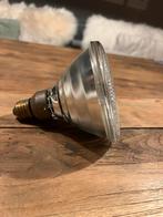 Philips PAR38 Flood Lamp - 6 stuks, Nieuwstaat, 60 watt of meer, Halogeen (gloei)lamp, Zo goed als nieuw, E27 (groot)