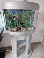 Super mooi Panorama aquarium met onderkast, Dieren en Toebehoren, Vissen | Aquaria en Toebehoren, Ophalen, Gebruikt, Leeg aquarium