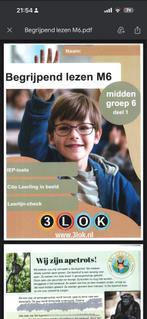 Uitgebreid IEP Cito Groep 6 Oefenboeken Digitaal, Boeken, Ophalen of Verzenden, Zo goed als nieuw, Non-fictie