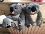Koala knuffels, Ophalen of Verzenden, Zo goed als nieuw