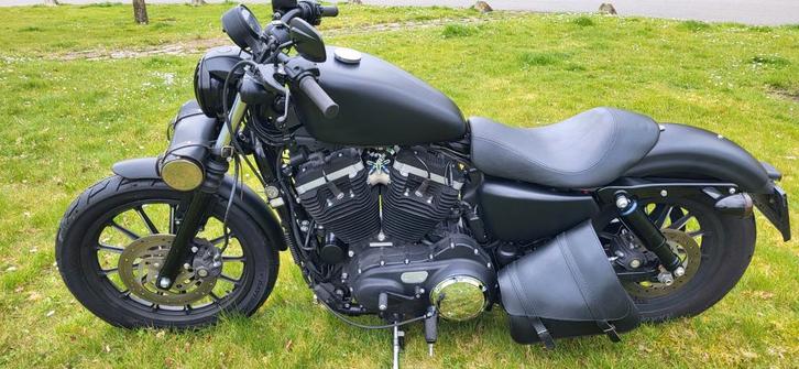 Sportster 883, Motoren, Motoren | Harley-Davidson, Particulier, Chopper, meer dan 35 kW, 2 cilinders, Minimaal motorrijbewijs A1