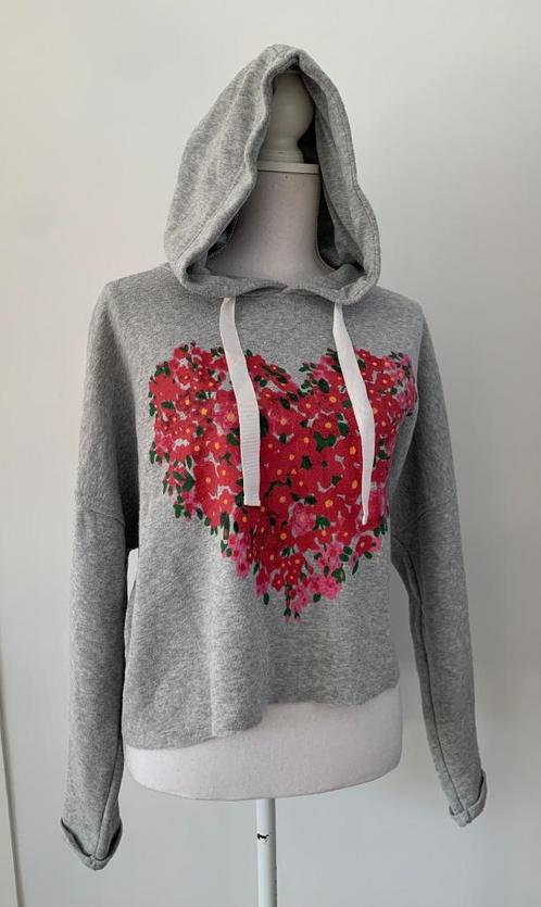 Grijze capuchon Trui maat 40!, Kleding | Dames, Truien en Vesten, Zo goed als nieuw, Maat 38/40 (M), Grijs, Verzenden