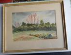 Aquarel Landschap met Bomen en Vee M.Hayton, Ophalen of Verzenden