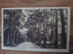 Fotokaart Driebergen Rijsenburg - Arnh. Bovenweg, Verzamelen, Ansichtkaarten | Nederland, Ophalen of Verzenden, Gelopen, Utrecht