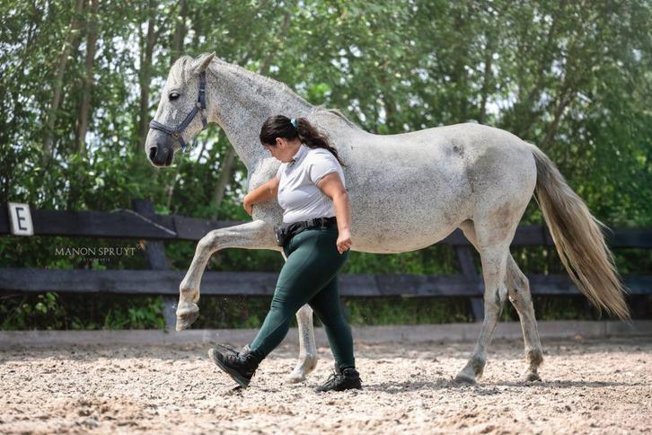 lease paarden en ponys, Dieren en Toebehoren, Paarden en Pony's | Verzorgingsproducten, Ophalen of Verzenden