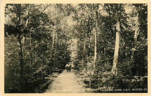 (380-281-015) Putten De Rimboe, Verzamelen, Ansichtkaarten | Nederland, Gelderland, Voor 1920, Verzenden