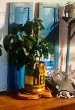 2 blauwe planken van de Bosrand, Ophalen of Verzenden, Zo goed als nieuw