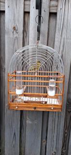 Zangvogel met Surinaamse zangkooi, Dieren en Toebehoren, Mannelijk, Wildzangvogel, Geringd