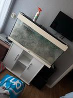 Aquarium na schoonmaak weer mooi glas, Ophalen, Gebruikt, Sierelement