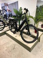 Pegasus elektrische damesfiets. Van 3999,- voor 2599,-, 55 tot 59 cm, Ophalen, Zo goed als nieuw, Overige merken