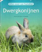Fritz Dietrich Altmann - Dwergkonijnen, Ophalen of Verzenden, Gelezen, Konijnen of Knaagdieren