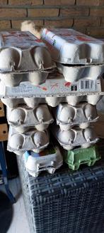 Eierdozen, Ophalen of Verzenden