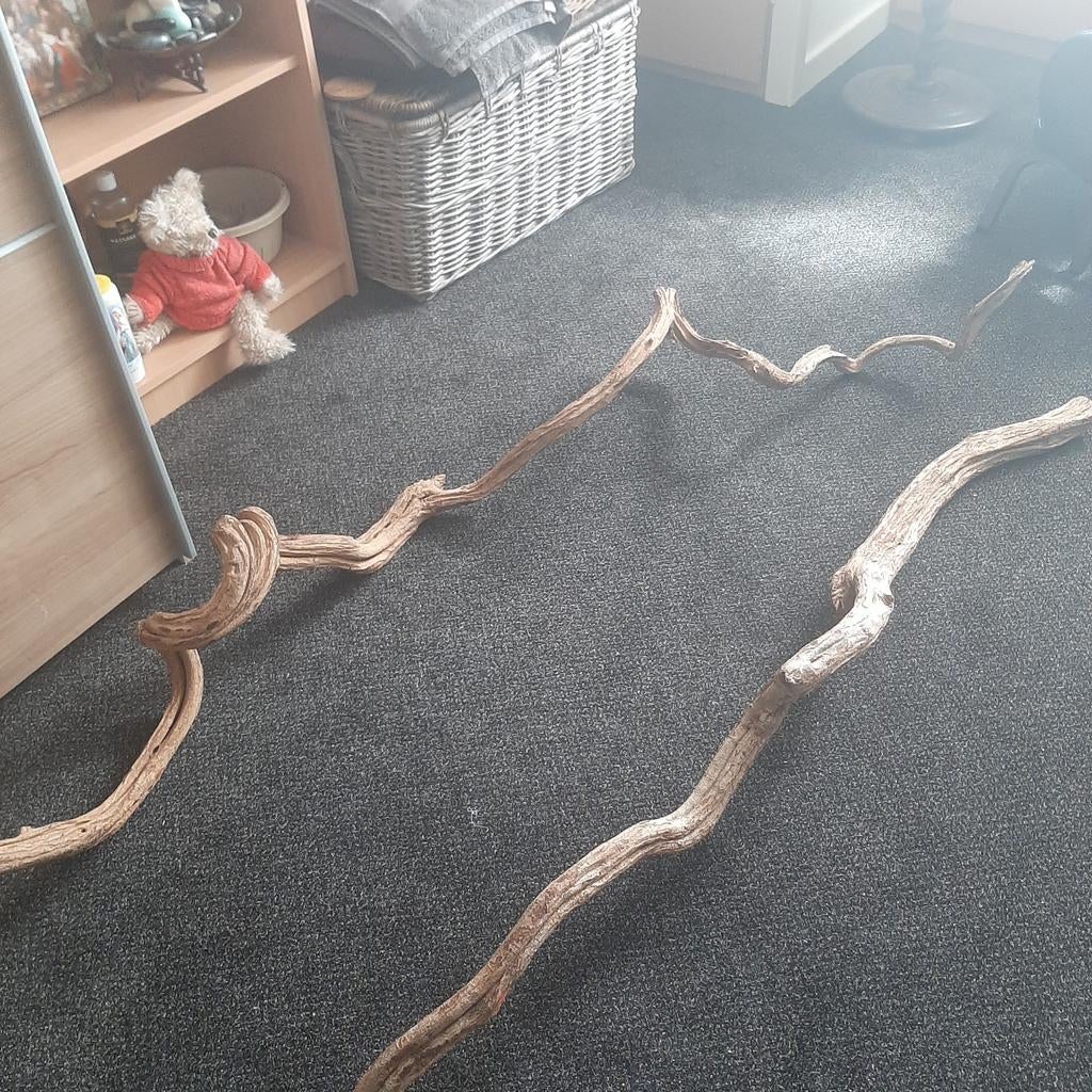 Decoratie takken 2 meter lang, Hout, Gebruikt, Ophalen of Verzenden, Landelijk