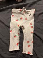Leuk baby broekje hema, Kinderen en Baby's, Babykleding | Maat 62, Ophalen, Zo goed als nieuw, Jongetje of Meisje, Broekje