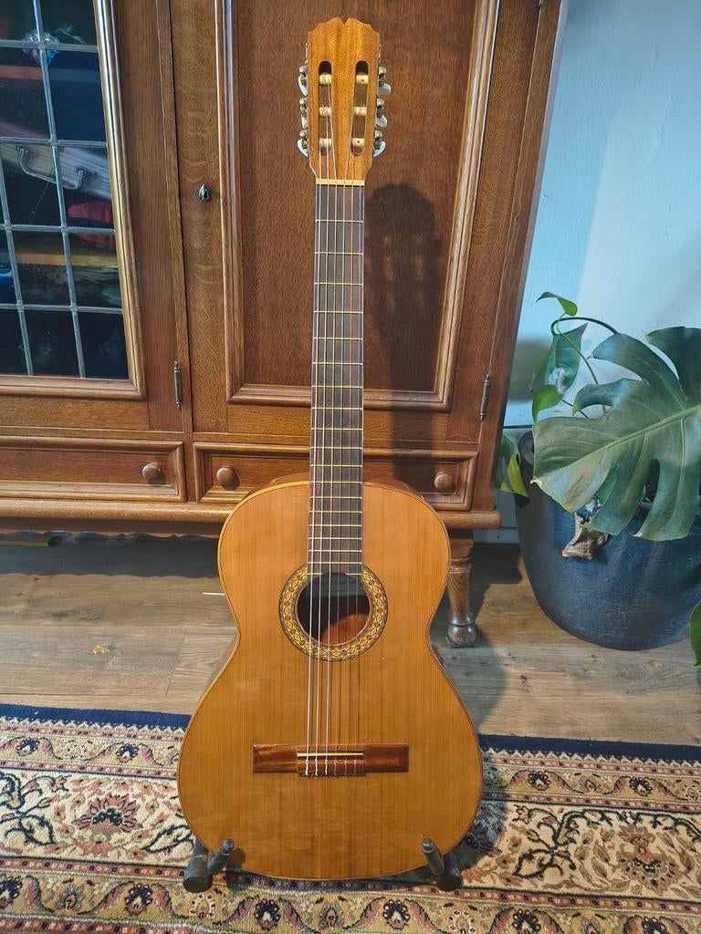 Klassieke gitaar juan Salvador elite solid top speelklaar, Muziek en Instrumenten, Ophalen, Zo goed als nieuw, Klassieke of Spaanse gitaar