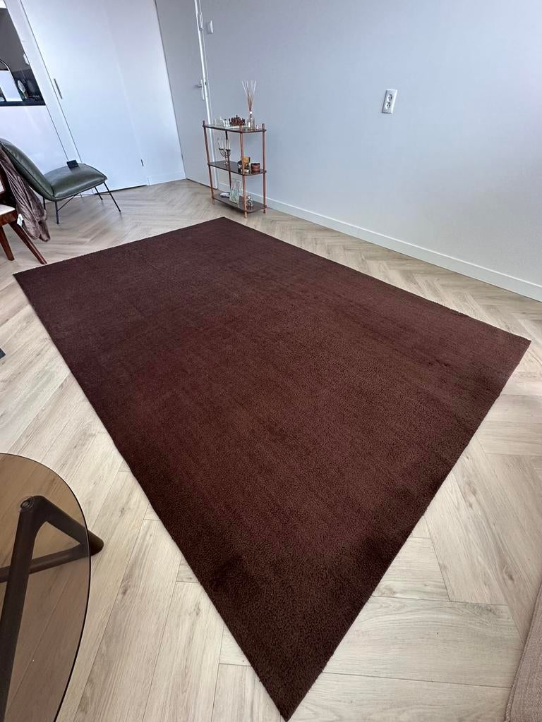 Tapijt bruin karwei 200x300, Bruin, 200 cm of meer, Ophalen of Verzenden, Zo goed als nieuw