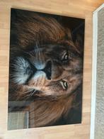 Plexiglas Schilderij Leeuw, Ophalen