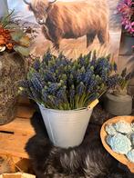 Blauwe druifjes ( kunst), Nieuw, Ophalen of Verzenden, Vv, Vv