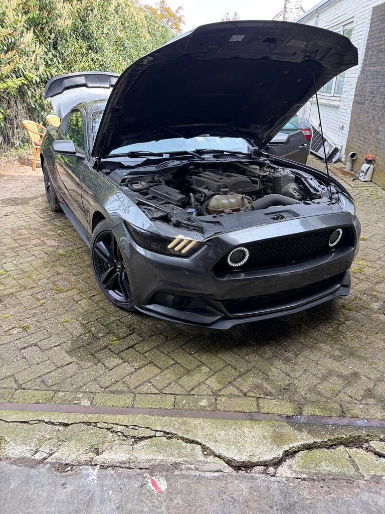 mustang 2016, Auto's, 4 cilinders, 2300 cc, Bedrijf, Handgeschakeld