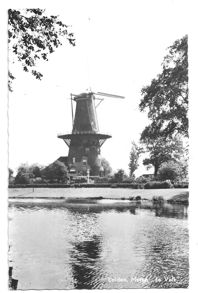 AK Leiden - Molen de Valk, Verzenden, 1960 tot 1980, Ongelopen, Zuid-Holland