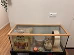Hamsterkooi / hamster terrarium MET ALLES ERIN (OOK NIEUW), Dieren en Toebehoren, Zo goed als nieuw, 75 tot 110 cm, Ophalen, Minder dan 60 cm