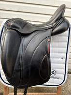 Albion revelation, Ophalen of Verzenden, Gebruikt, Dressuur