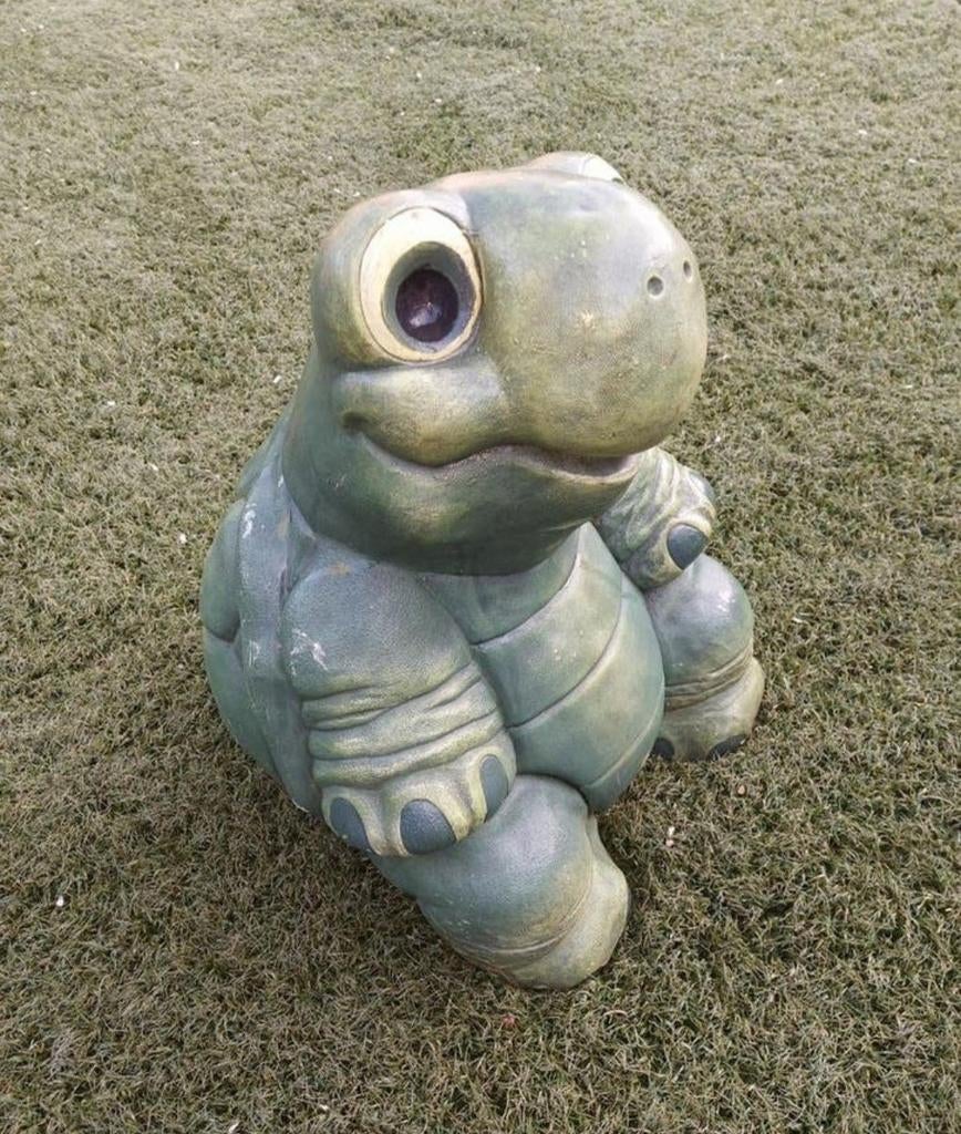 Schildpad, Ophalen, Gebruikt, Dier