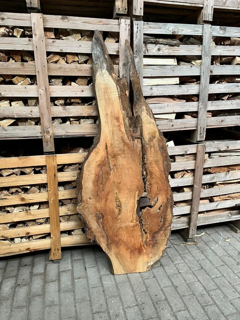 Schijf schaaldeel boomstamplank grillig hout knoest hout, Ophalen, Nieuw