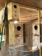 Nestkasten broedblokken, Ophalen of Verzenden, Gebruikt, Hout, Broedkooi of Kweekkooi