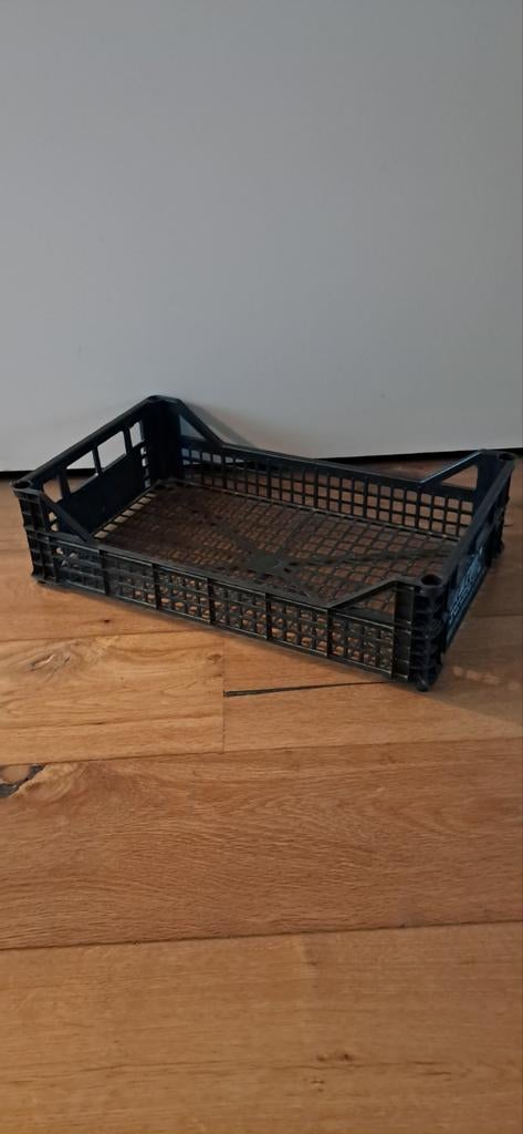 Italiaanse Kunststof Veilingkrat 13x50x30cm, Gebruikt, 40 tot 60 cm, Minder dan 35 cm, Minder dan 50 cm