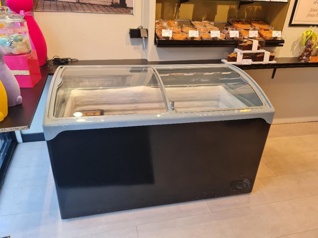 Display Vrieskist 286 litr., Zakelijke goederen, Ophalen, Diepvries