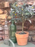 Kunst olijf boompje, Ophalen of Verzenden, Zo goed als nieuw