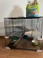 Hamster kooi met toebehoren, Minder dan 60 cm, Kooi, Minder dan 75 cm, Ophalen of Verzenden