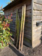 9 kastanje palen. Kunnen nog een ronde mee, Ophalen, Gebruikt, Minder dan 180 cm, Palen