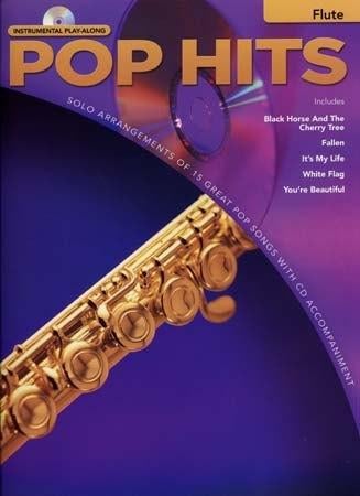 dwarsfluit-- Pop hits for Flute + cd--prachtig, Ophalen of Verzenden, Artiest of Componist, Populair, Dwarsfluit of Piccolo